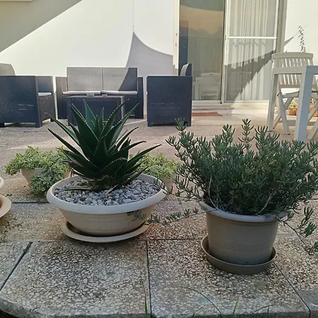 La Casa Del Noce *