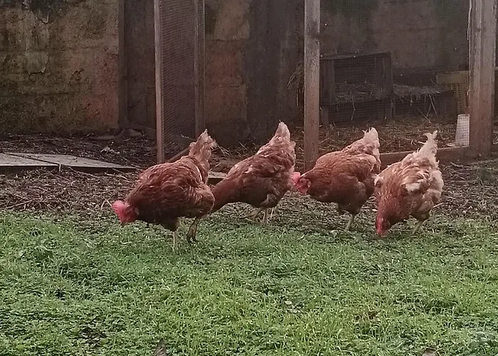 Hébergement de vacances La Casa Del Noce